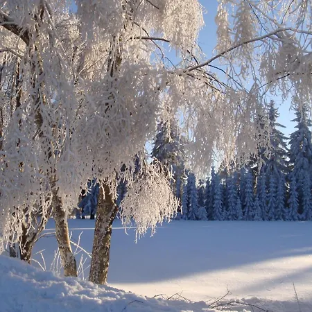 Vogtlandresidenz By Interhome Holiday home *