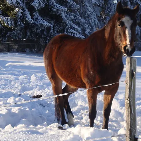 Holiday home Vogtlandresidenz By Interhome *