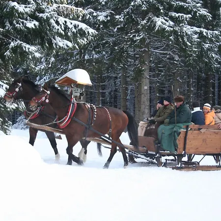 Vogtlandresidenz By Interhome Holiday home