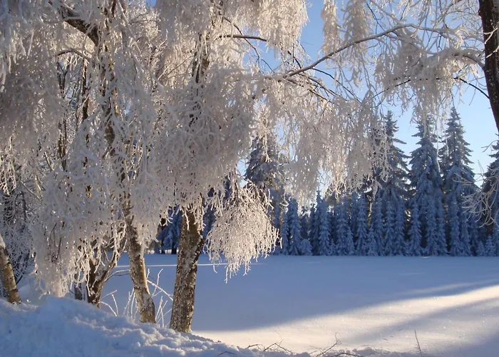 Vogtlandresidenz By Interhome Holiday home *