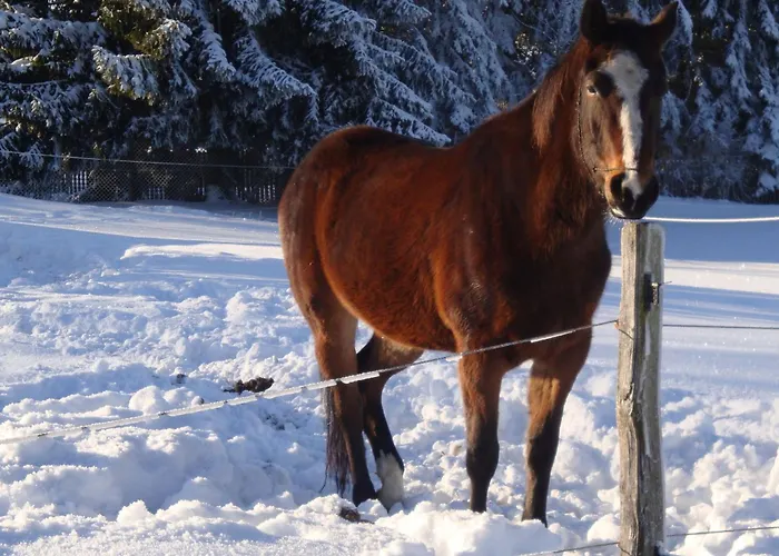 Holiday home Vogtlandresidenz By Interhome *