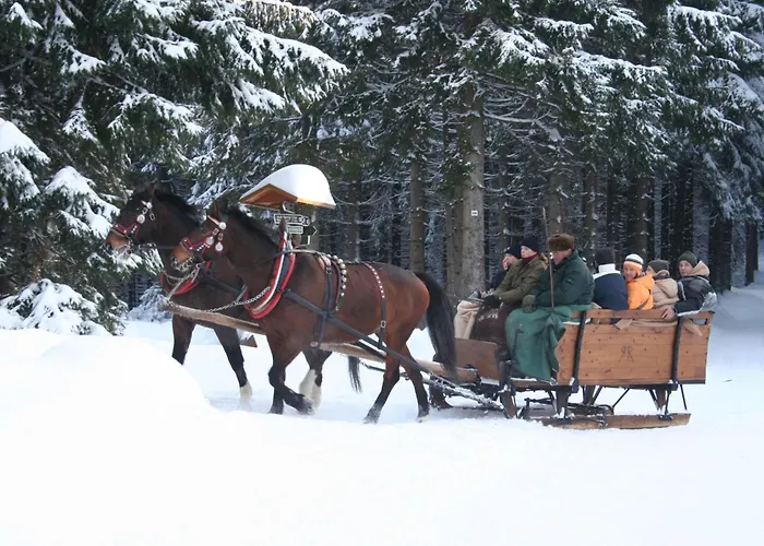 Vogtlandresidenz By Interhome Holiday home